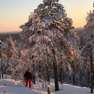 Riikka