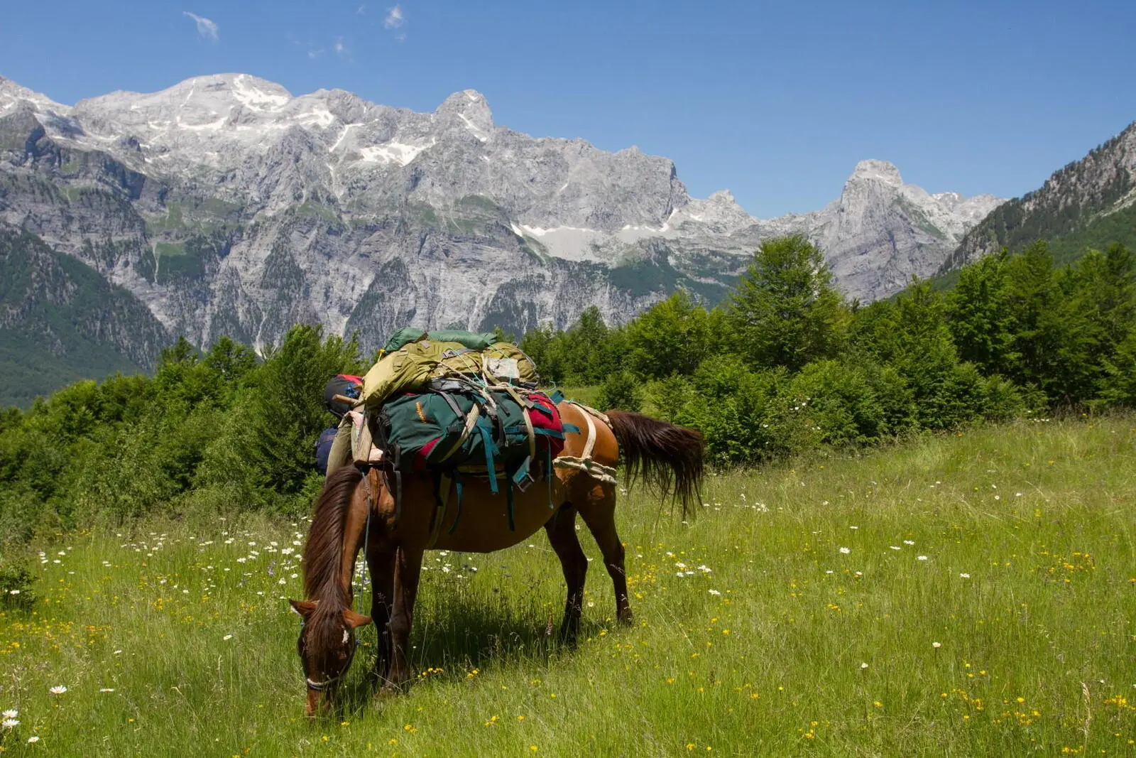 Ihr Hauptgepäck wird getragen (Valbona Pass) oder gefahren