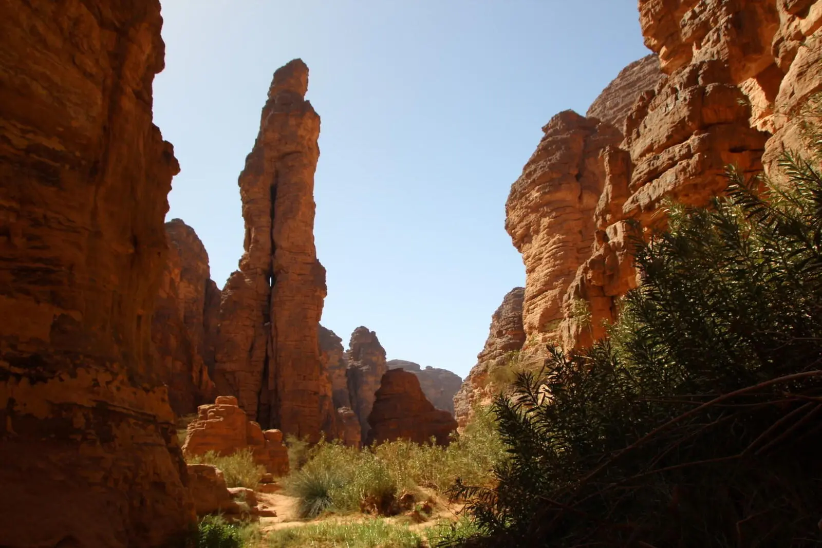 Im grünen Essendilène-Canyon: Wanderung bis zu einem Guelta (Wasserloch).