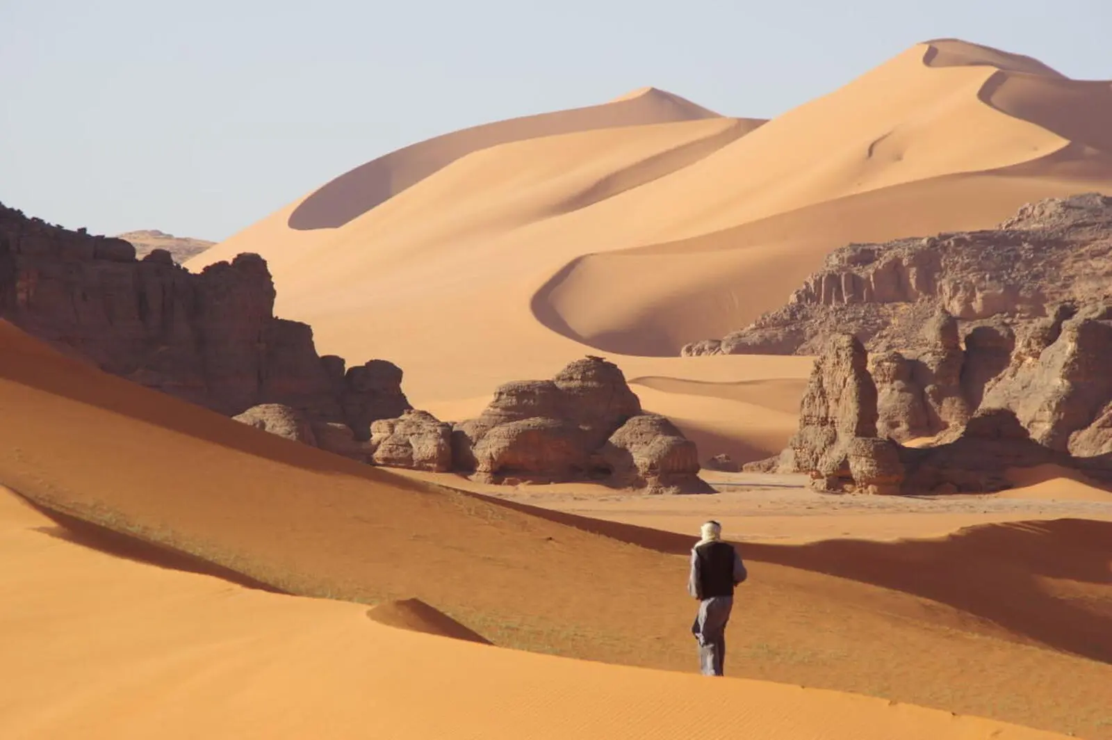 Wanderungen führen auf Dünenkämme und entlang von Dünentälern 