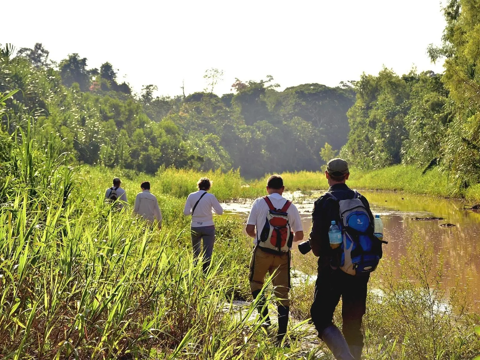 Bei Wanderungen die Wunderwelt des Amazonas Regenwaldes erkunden