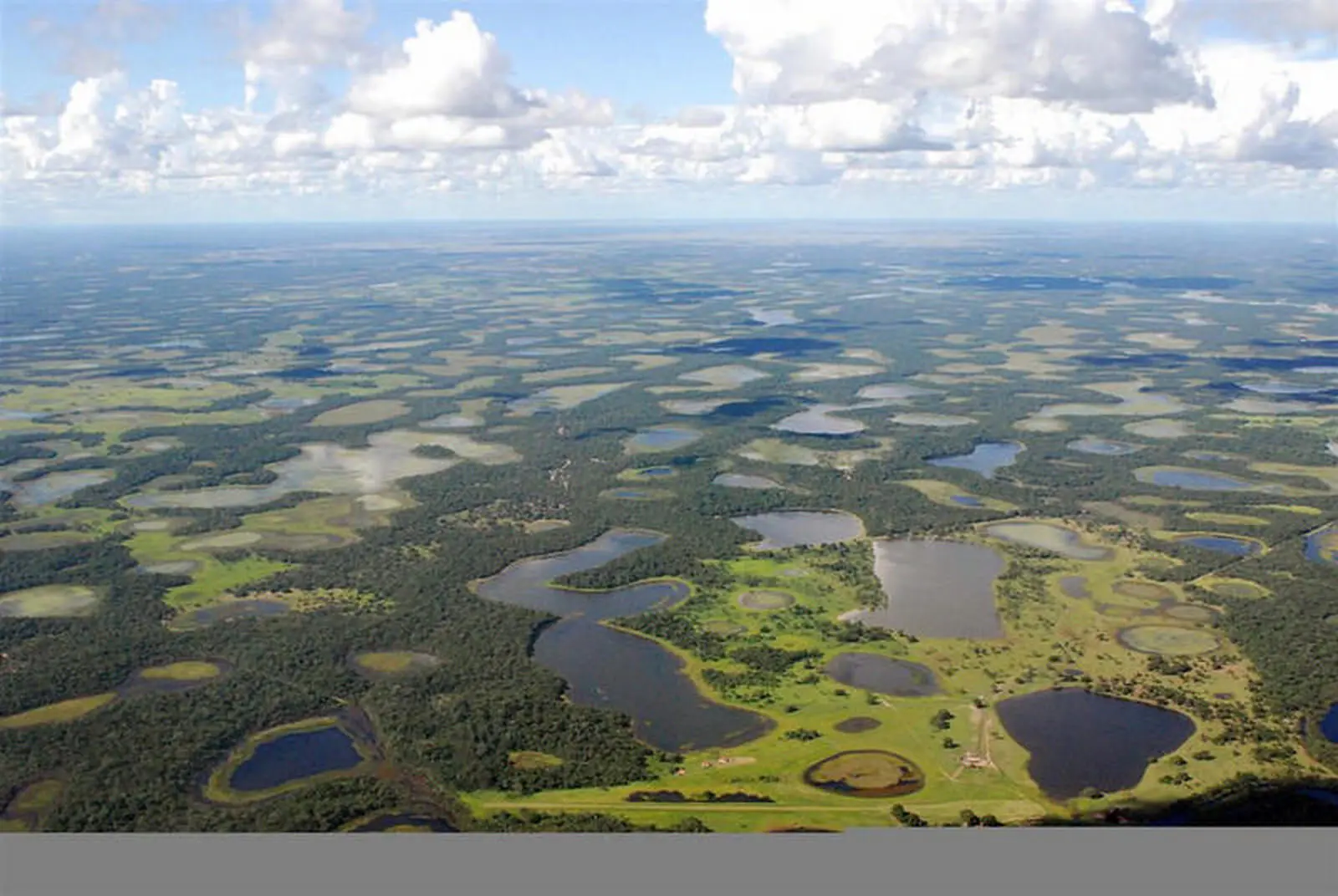 Das Pantanal umfasst rund 230.000 km². (Foto: L. Leuzinger)
