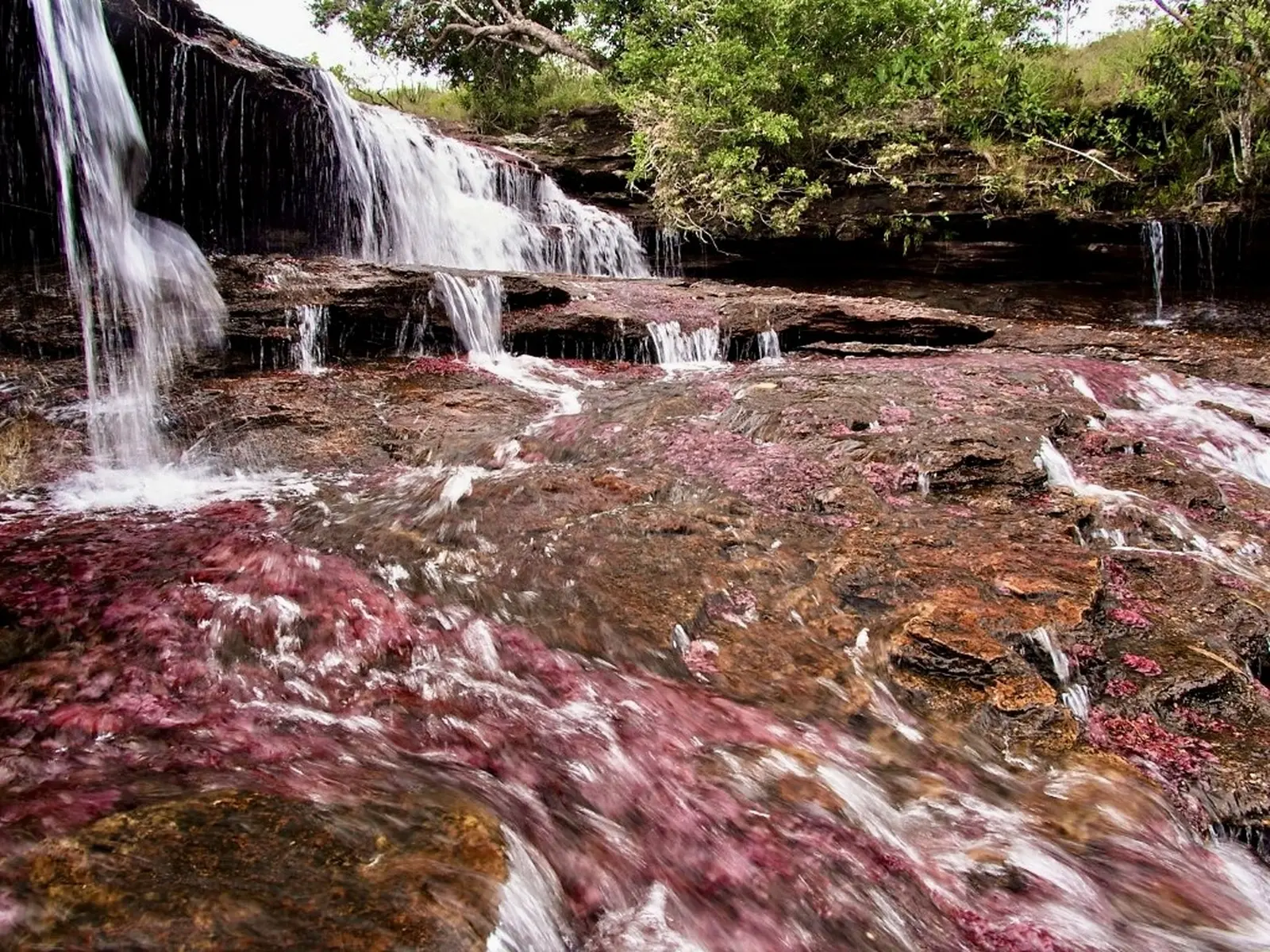 Der schönste Fluss der Welt: Naturwunder Caño Cristales