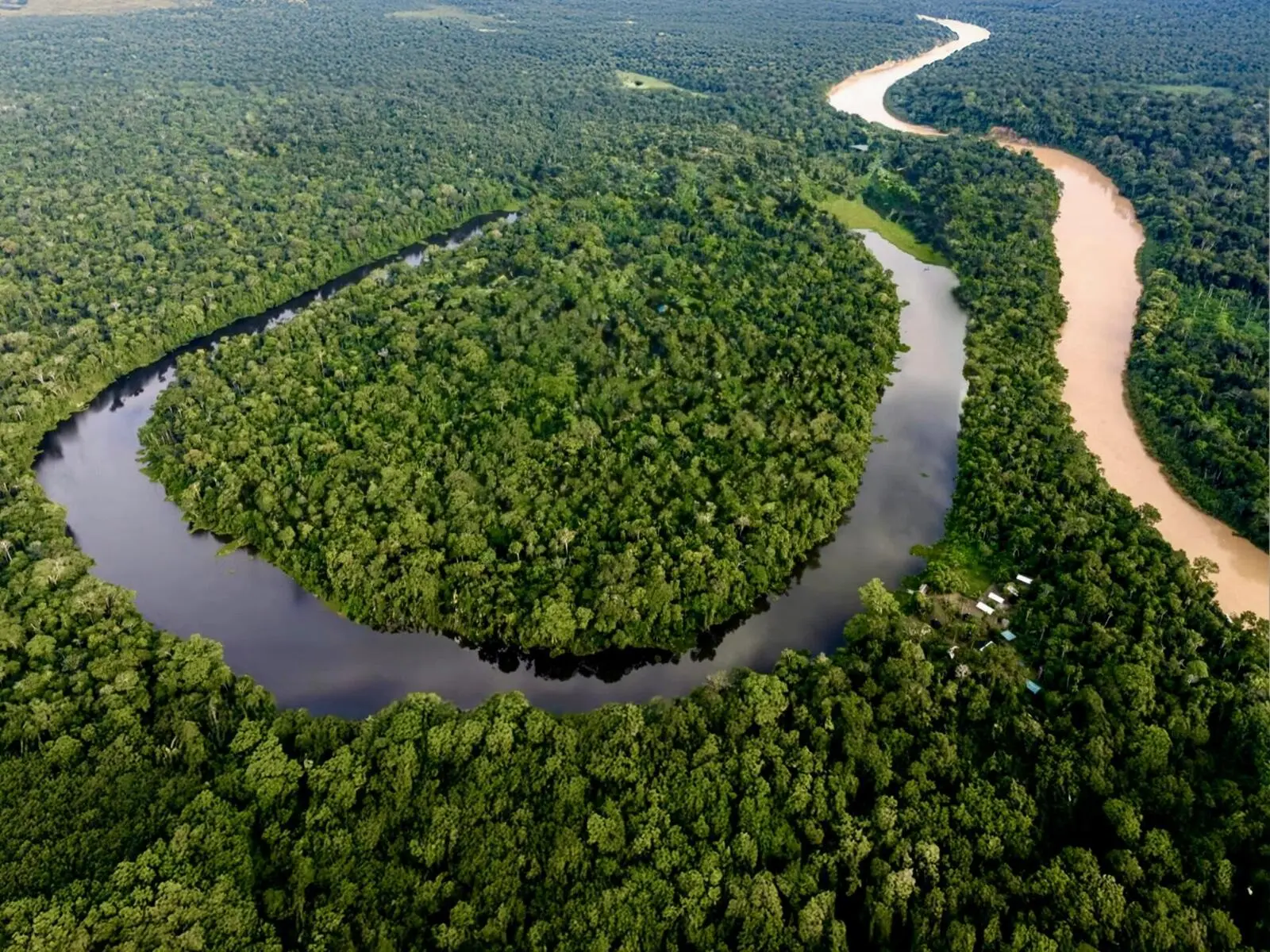 Ihre Urwald-Lodge liegt direkt am Ufer des hufeisenförmigen Sees