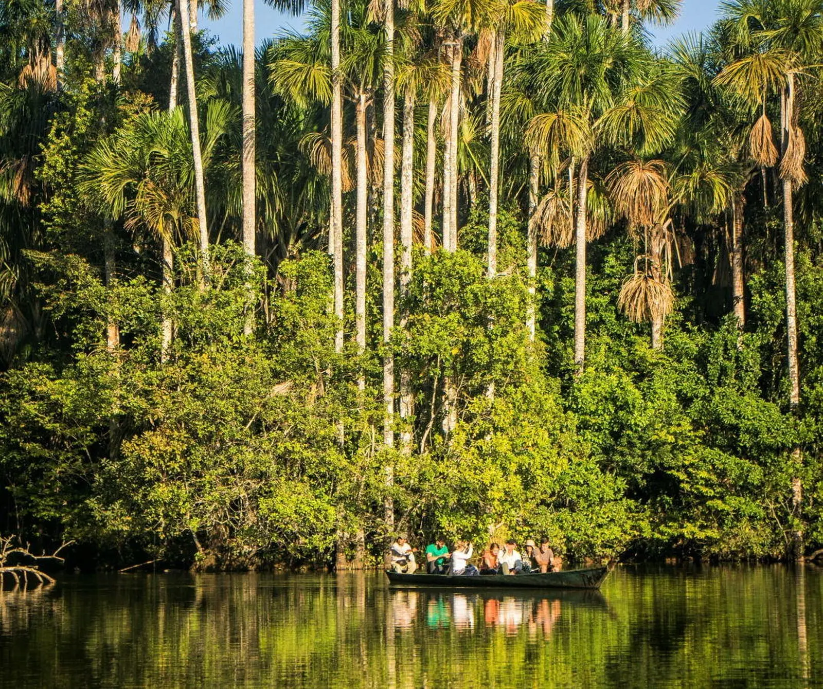 Mit dem Boot die Flüsse des Amazonas-Regenwaldes erkunden