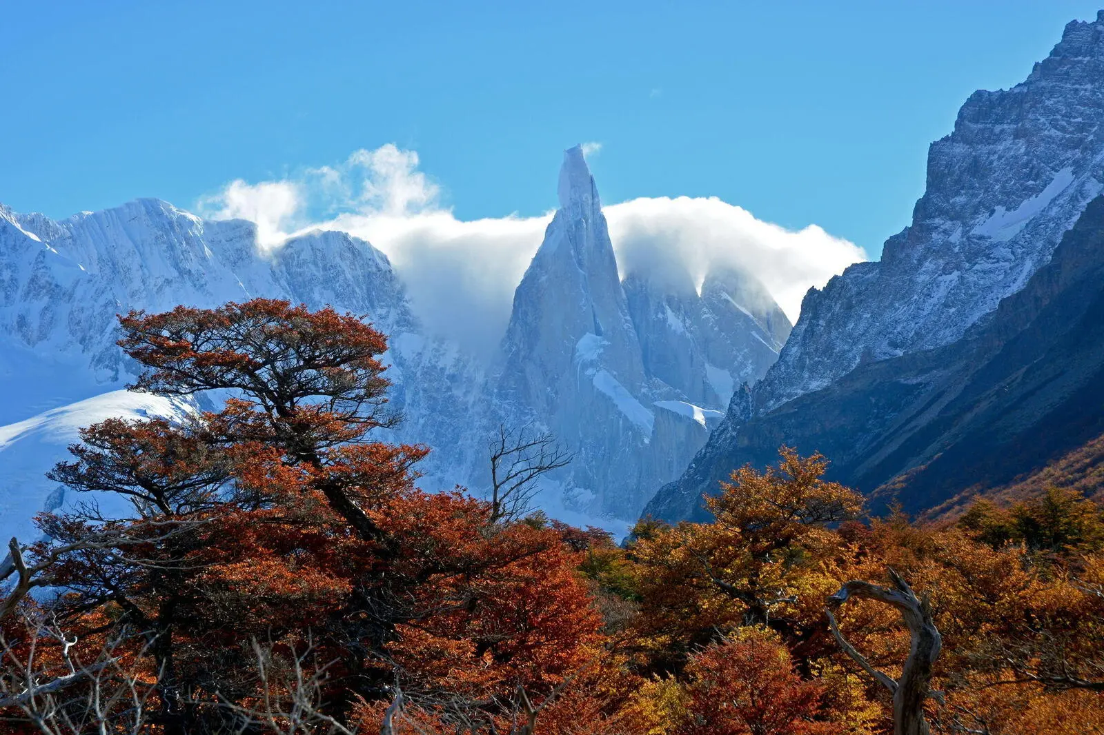 Bei Tageswanderungen geht es entlang des Fitz Roy und Cerro Torre