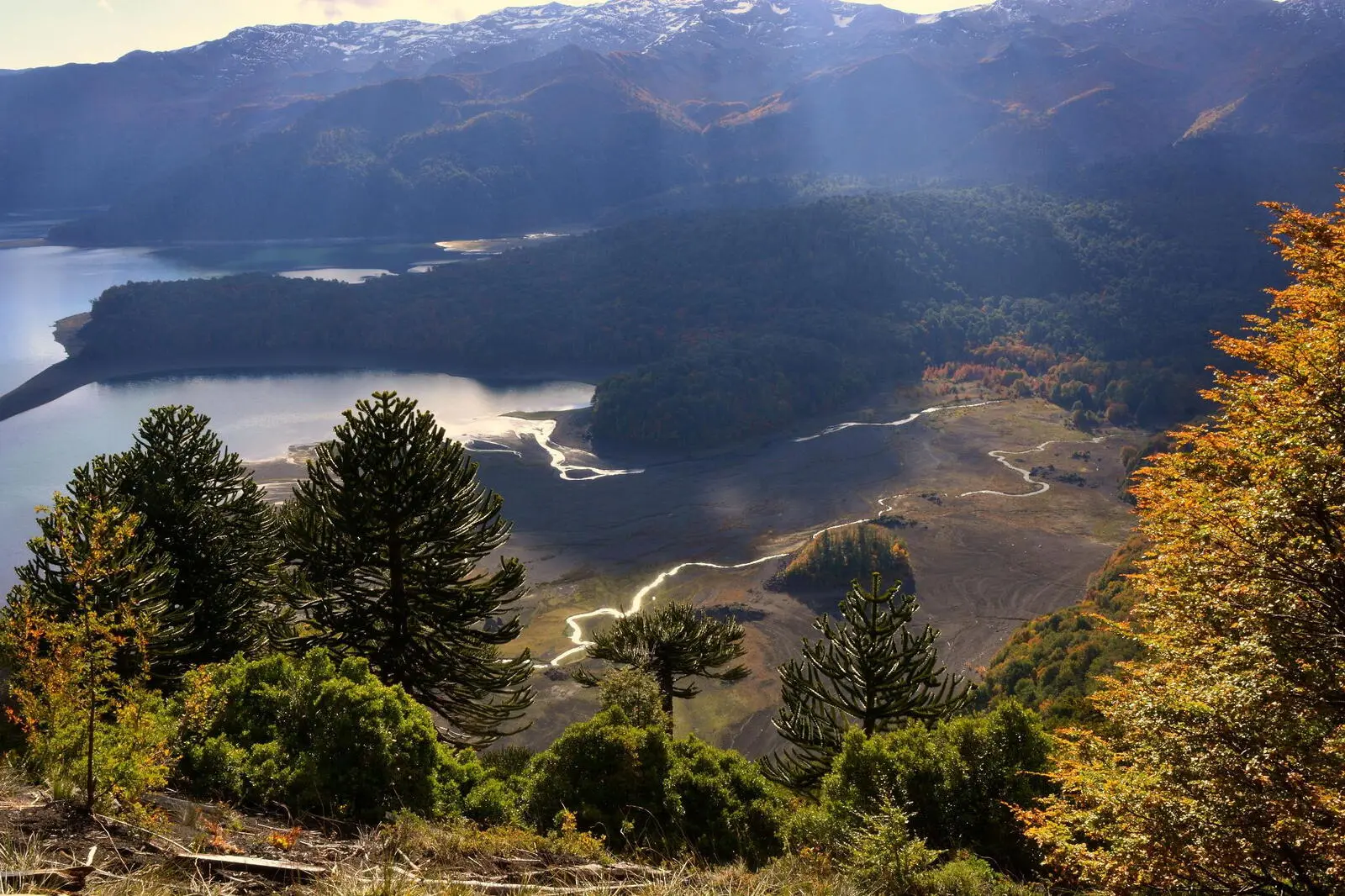 Grüne Wälder, Gletscherseen und schneebedeckte Berge sind Ihre Begleiter