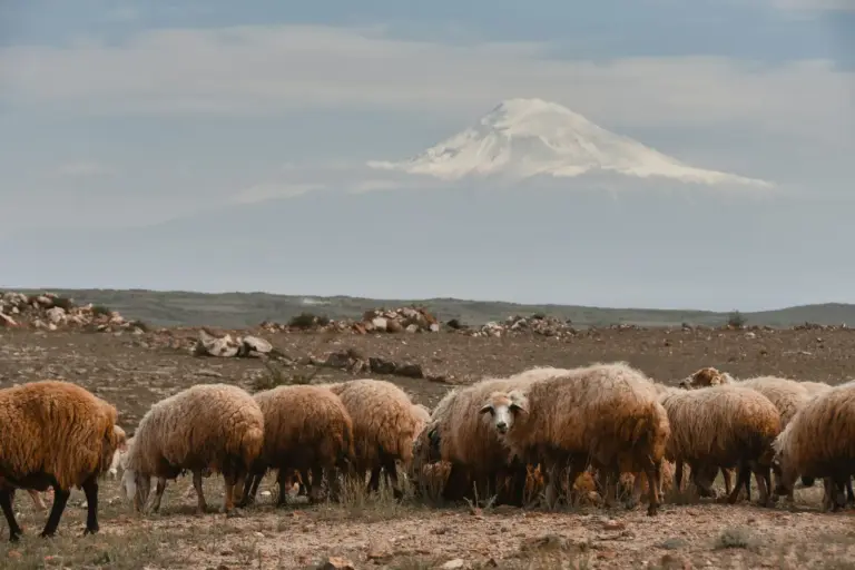 Willkommen in Armenien – Wo Geschichte atmet und Berge erzählen