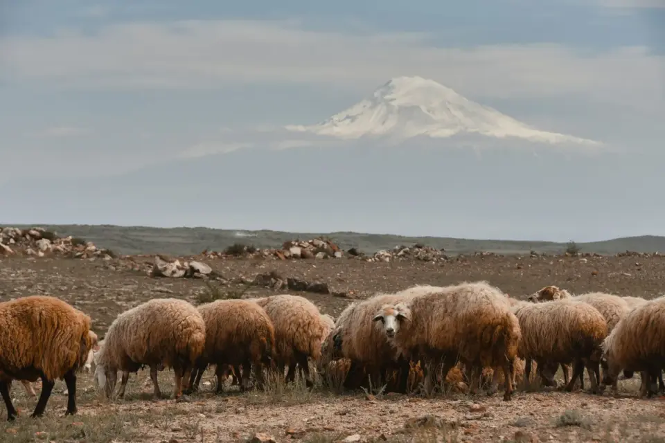 Wildes Armenien – Bergpanoramen, Schluchten und Klöster