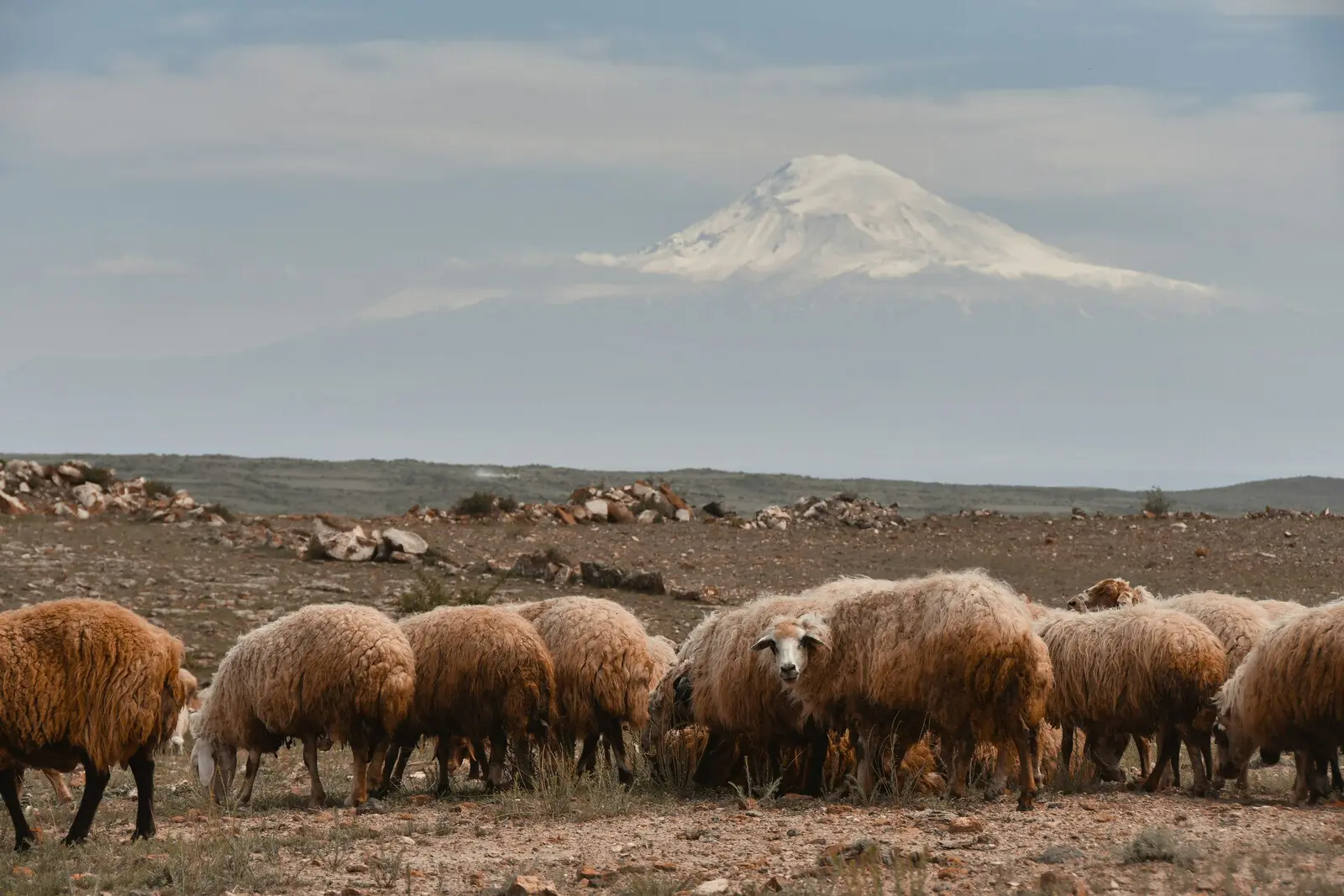 Willkommen in Armenien – Wo Geschichte atmet und Berge erzählen