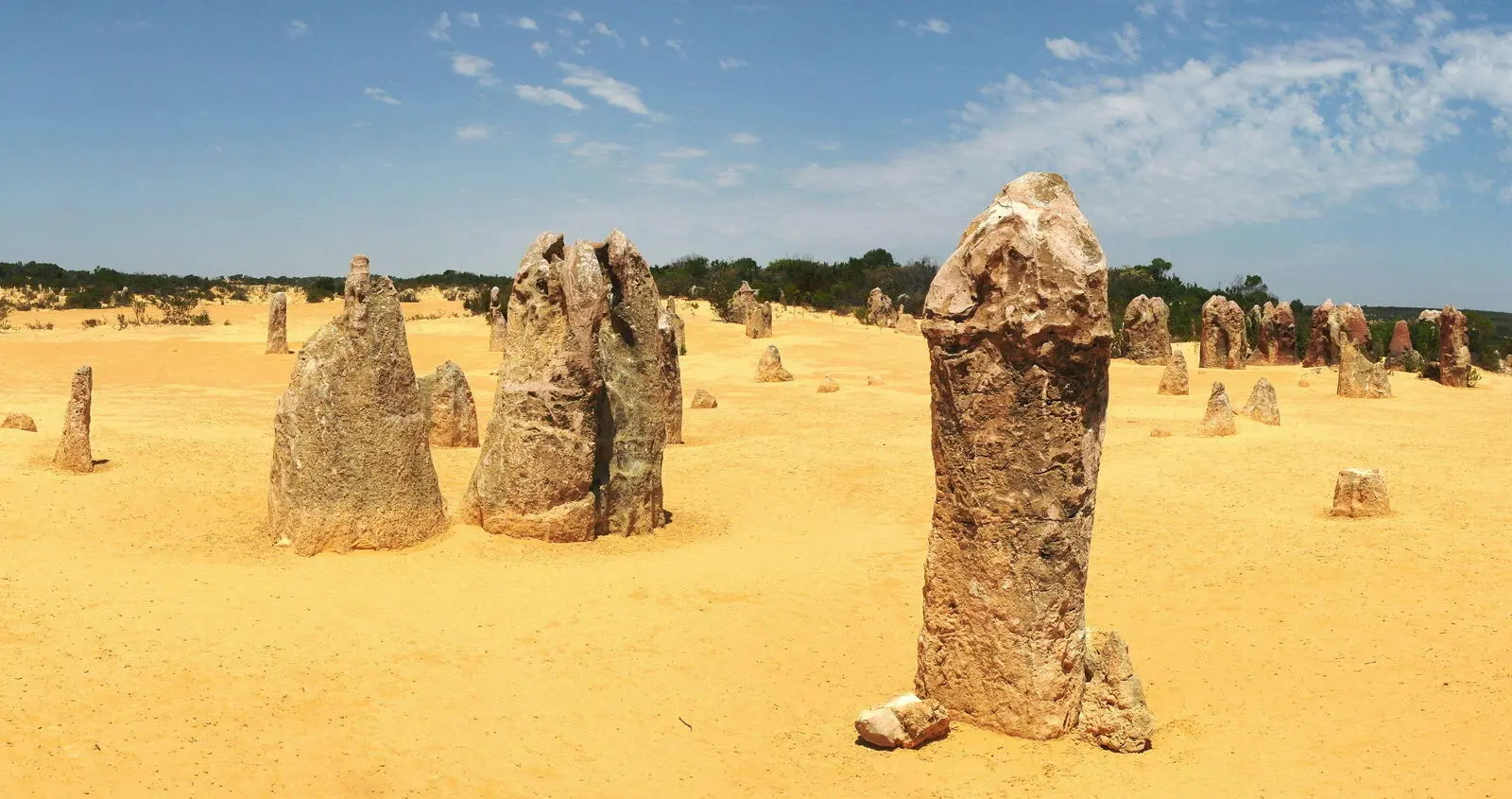 Pinnacles - bizarre Kalksteinformationen im Nambung Nationalpark