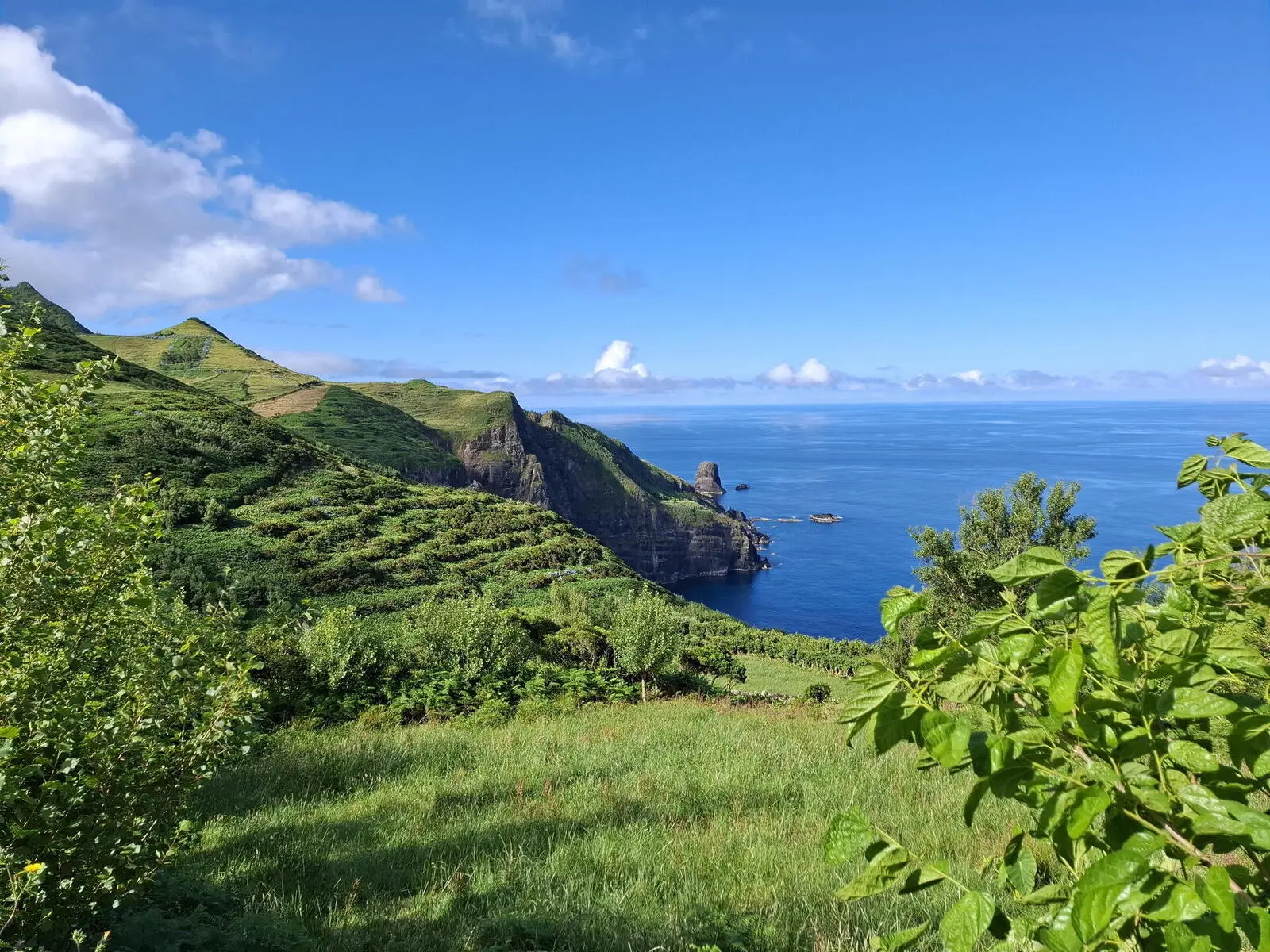 Blick zur Küste nach Lajedo auf Flores