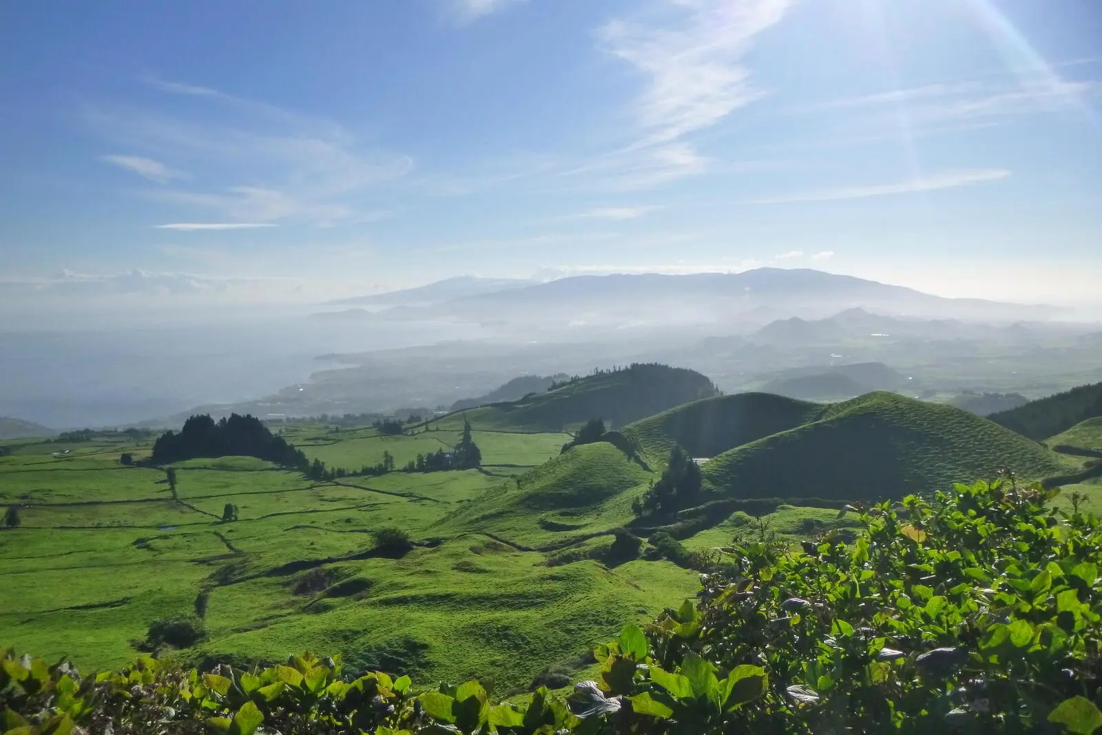 São Miguel trägt nicht umsonst den Beinahmen „Ilha Verde“ - die grüne Insel