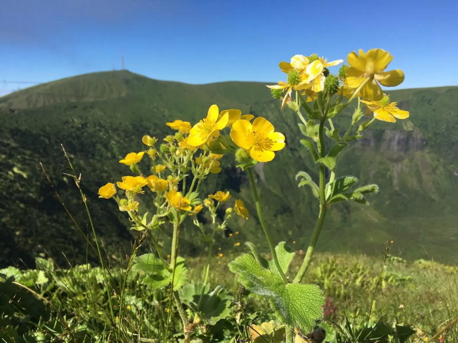 FaszinierendeTiefblicke in den fast 1000 m tiefen Krater auf Faial