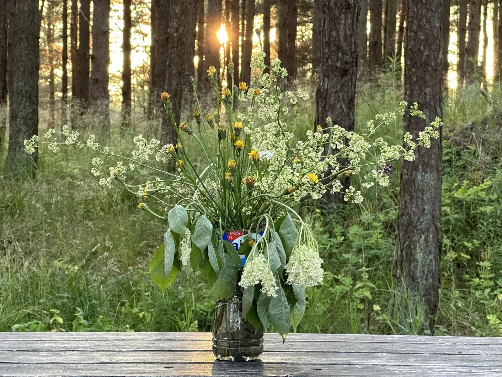 Midsommerstrauß - selbst gepflückt aus der Natur - typisch baltisch