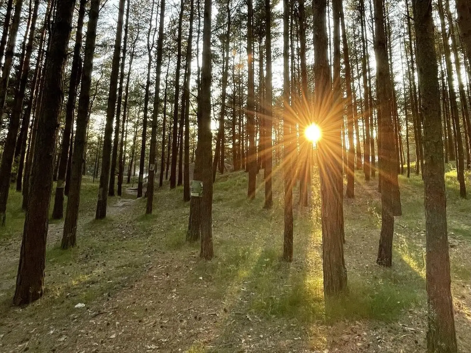Im Juni taucht die Sonne noch nach 22 Uhr die Küste in goldenes Licht