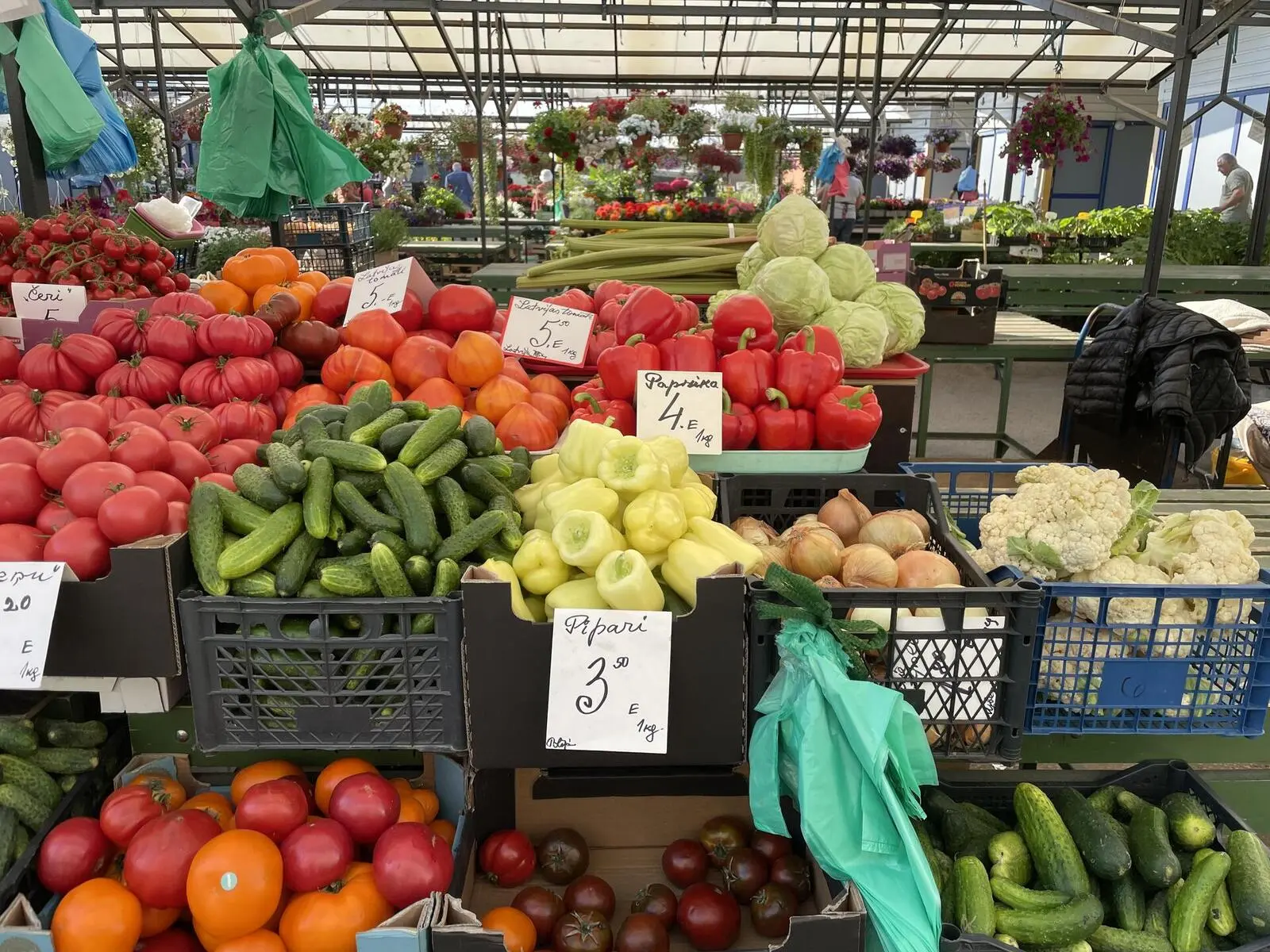 Sie besuchen den Zentralmarkt in Riga – der größte in Europa