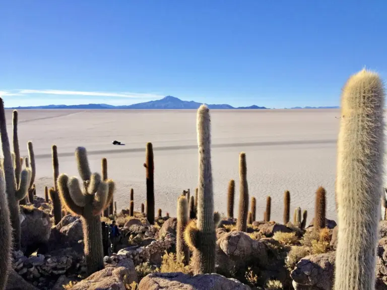 Blick von der Kakteeninsel Incahuasi auf den Salar de Uyuni (Salzsee)