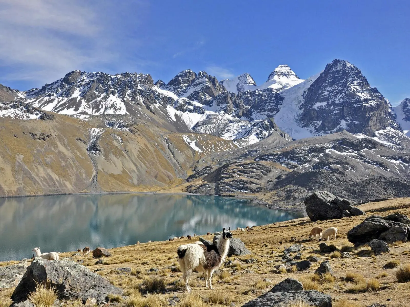 Der Gipfelumramte Bergsee Chiar Khota (4650 m) in der Königskordillere