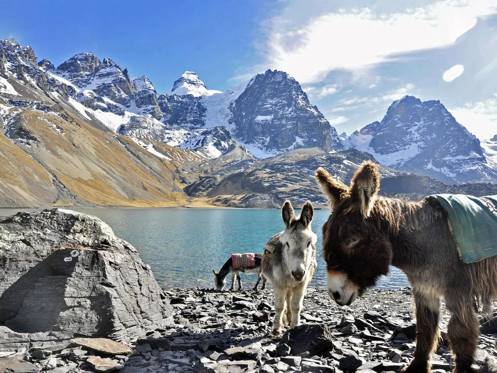 Traumhafte Ausblicke am Bergsee Chiarkhota auf 4.700 m Höhe