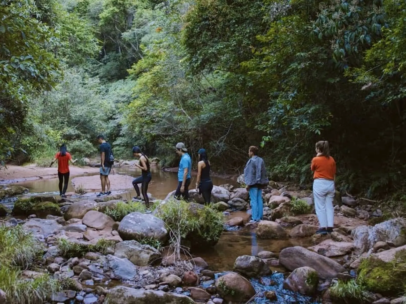 Auf einer Flusswanderung die Flora und Fauna entdecken