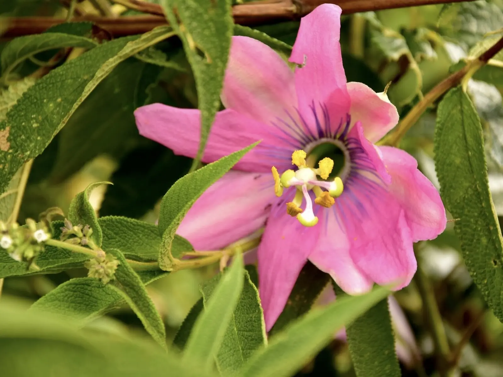 Eine vielfätige Fauna erwartet Sie im Nationalpark