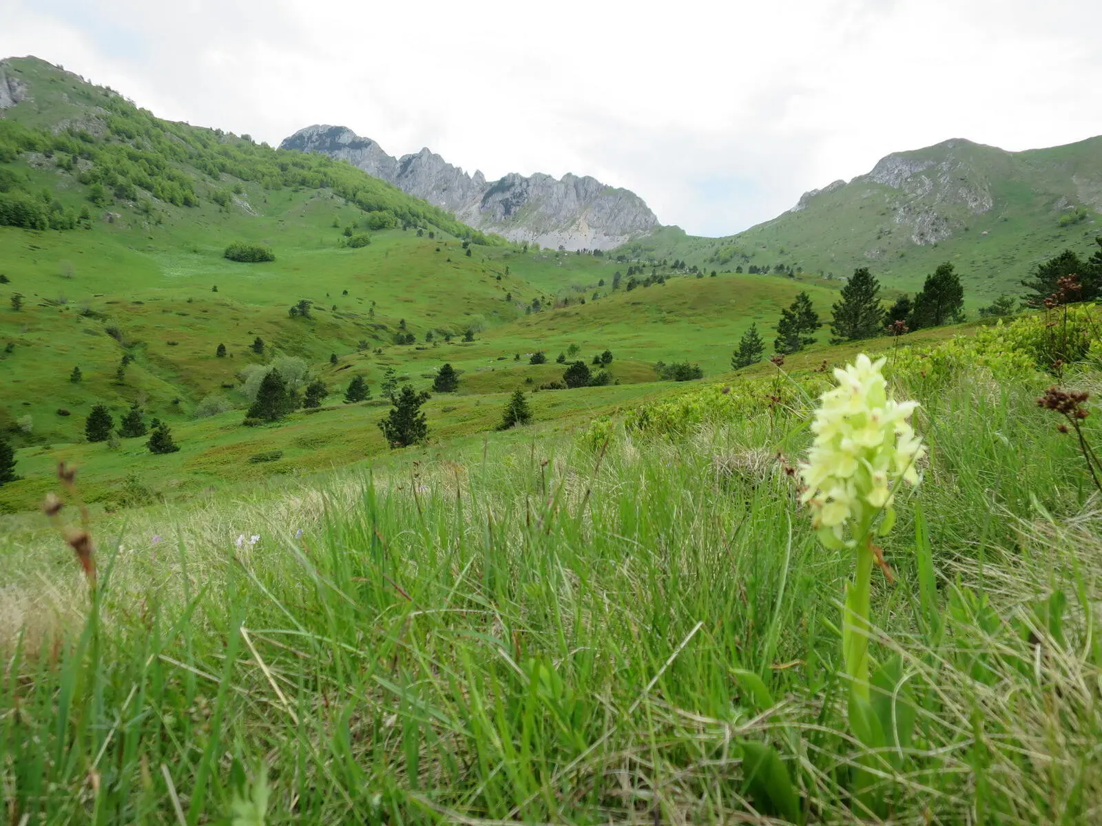 Natur pur in den Bergen von Bosnien-Herzegowina