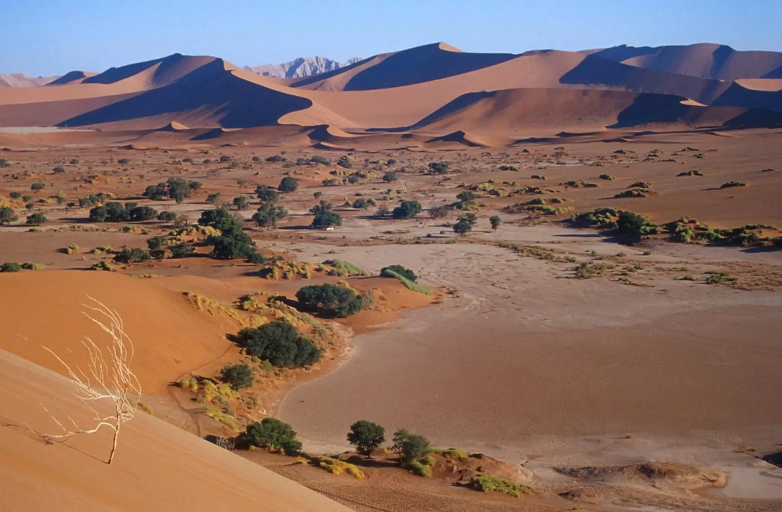 Ein Muss jeder Namibia-Reise - die Dünen von Sossusvlei.