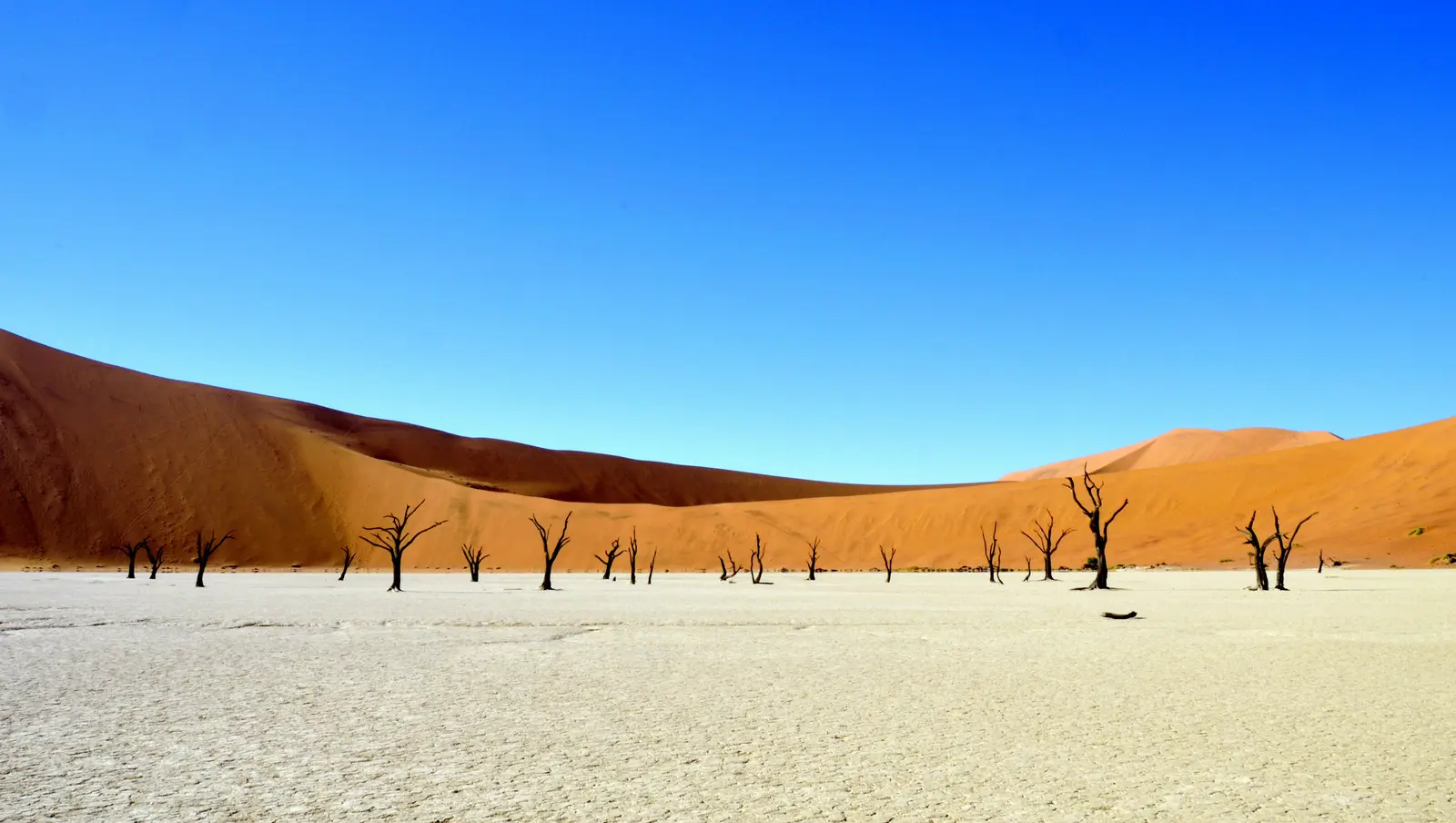 Beeindruckende Momente im Deadvlei, Namibia