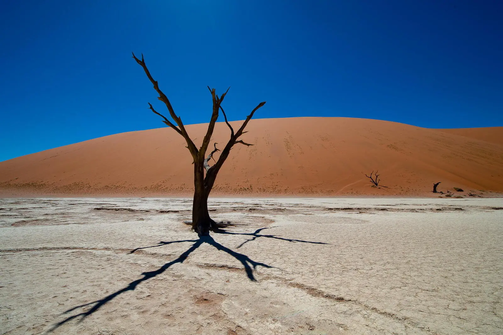 Dead Vlei Namibia