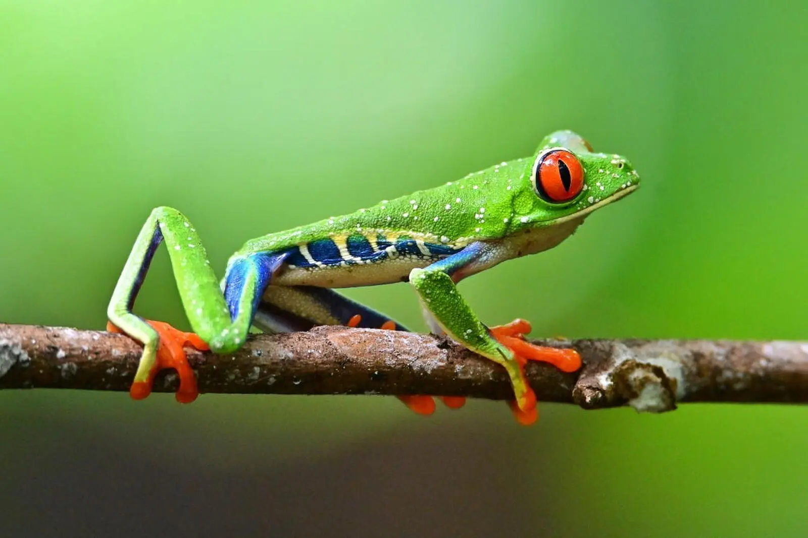 Herzlich Willkommen im tropischen Natur- und Outdoor-Paradies! (Foto: R. Lubiger)