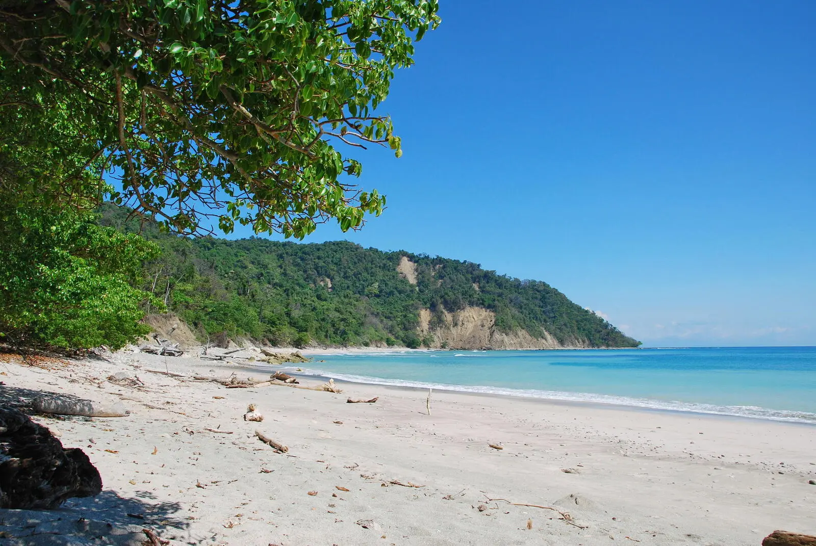 Zu Beginn der Reise befindet sich Ihr Hotel am karibischen Strand.