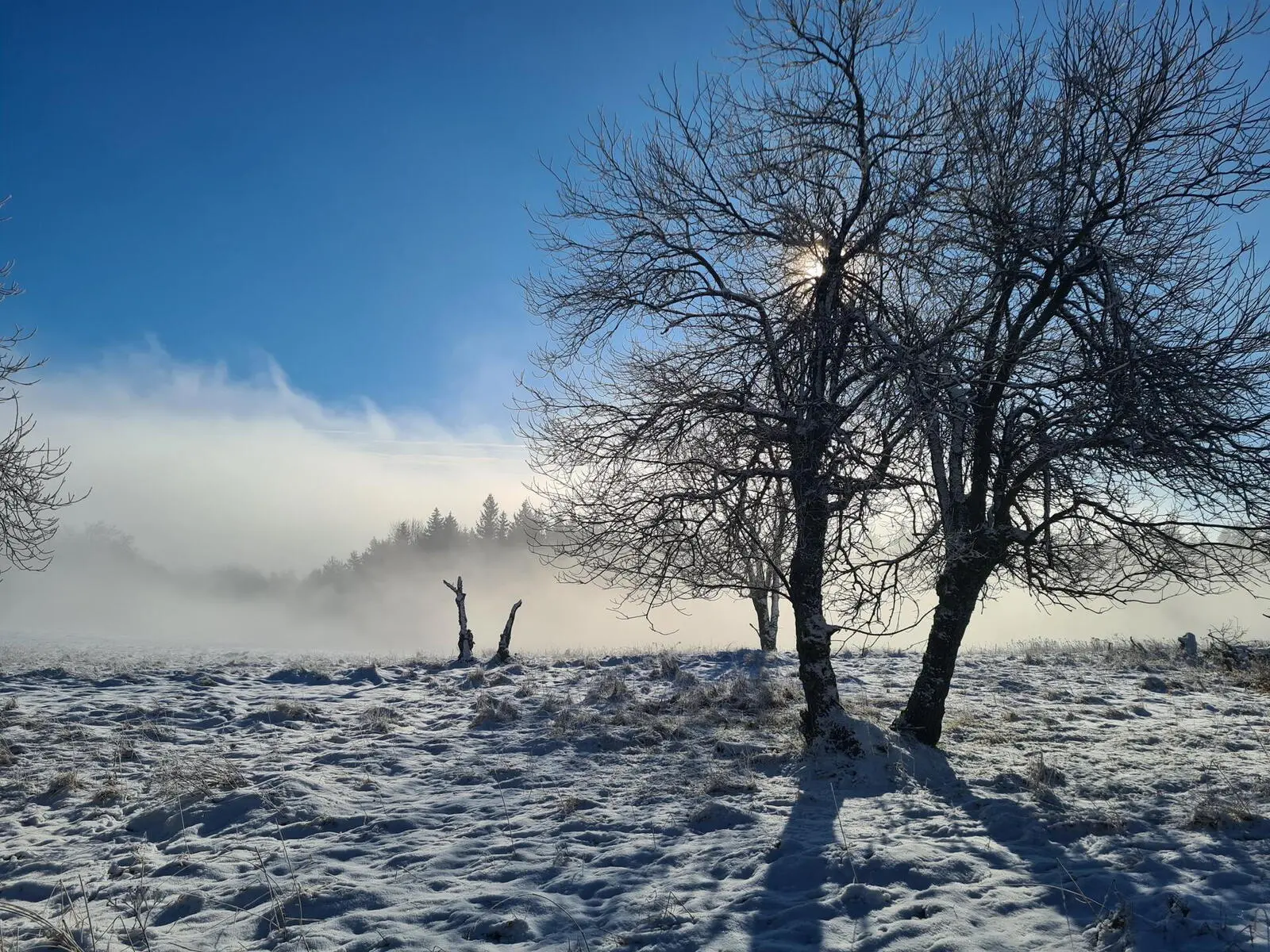 Herrlich verschneite Landschaft an einem Wandersonntag im Dezember