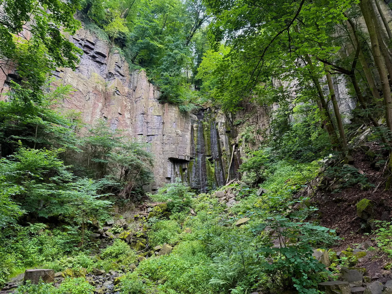 Imposanter Basaltaufschluss in Böhmen