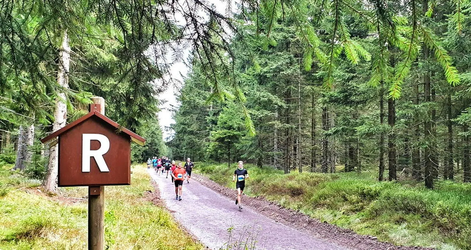 Das "R" für Rennsteig haben die Läufer und Walker immer im Blick