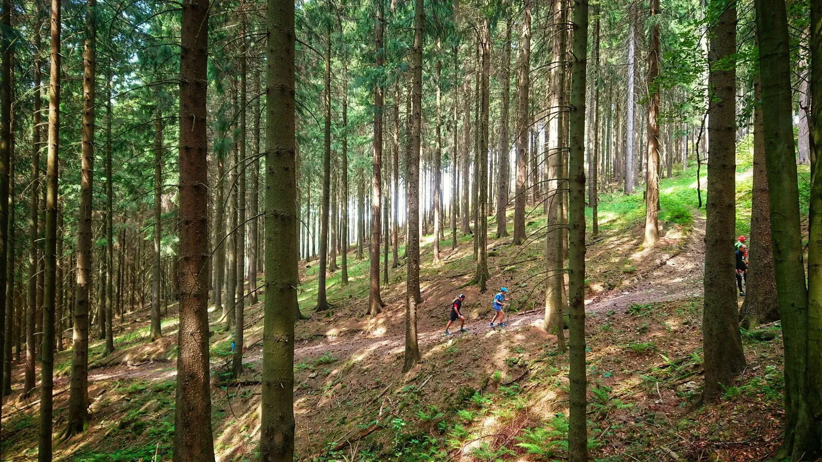 Die Trails führen durch urige Wälder, über Felder und traditionelle Orte