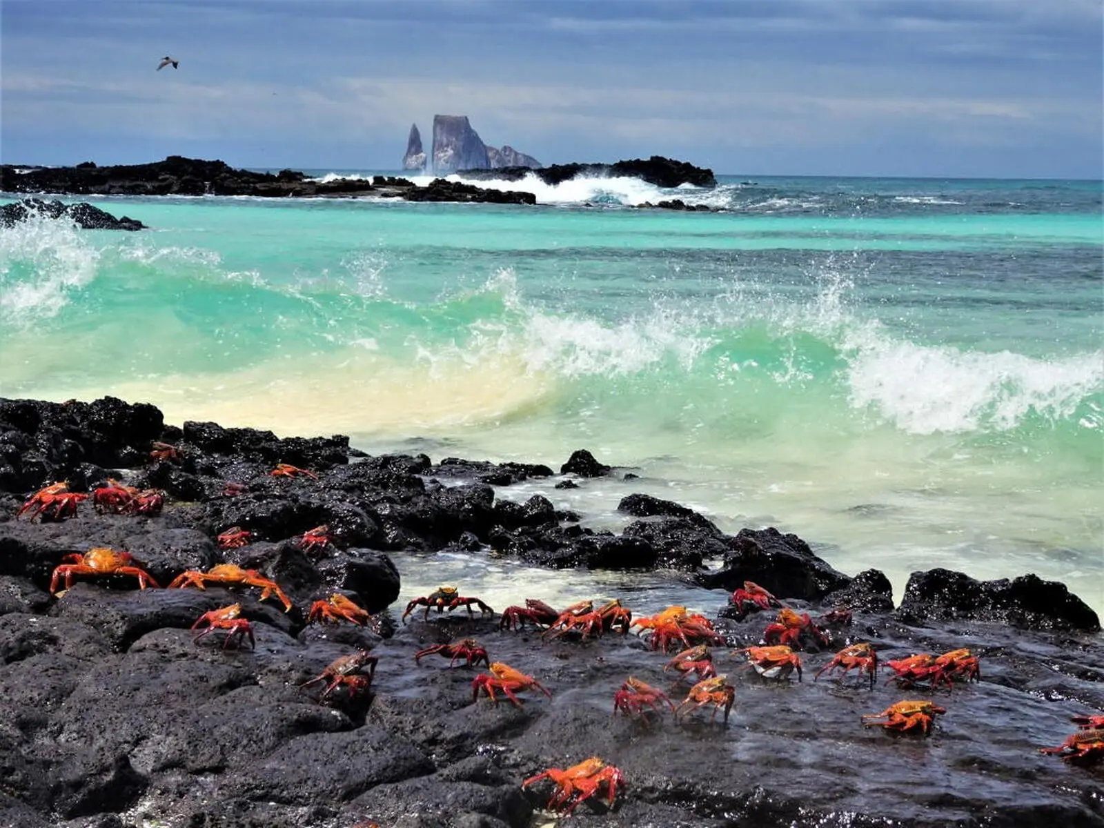 Blick zum Kickers Rock, San Cristobal