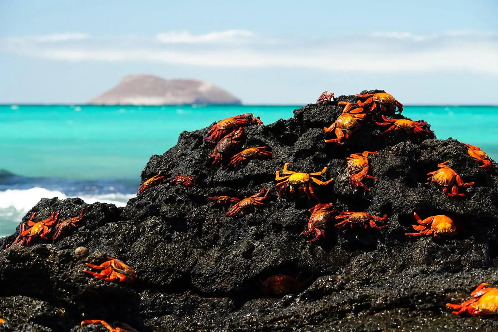Zwei Wochen Urlaub im Naturparadies Galapagos!