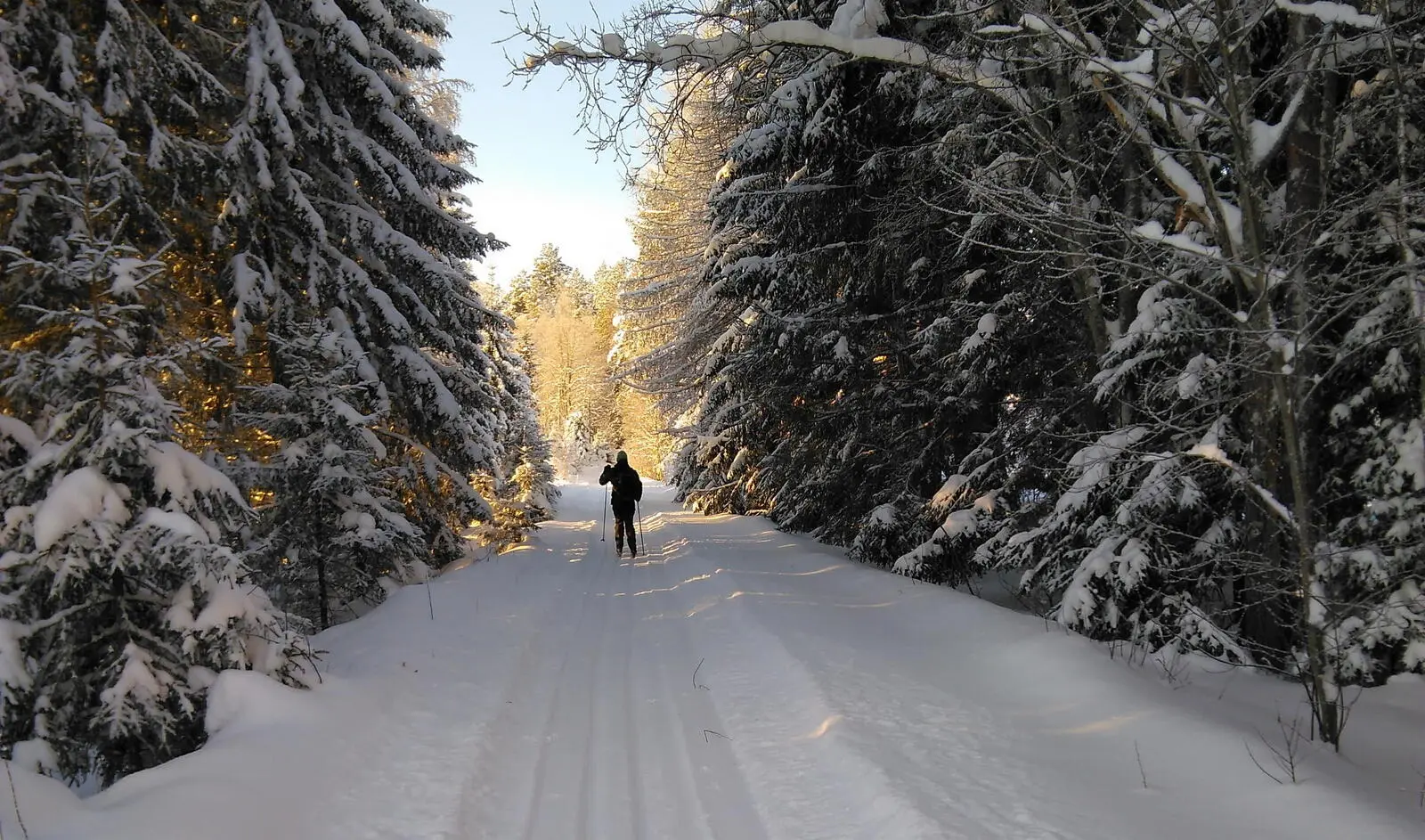 ...und durch verschneite Wälder. Sollten Sie noch nicht Skilaufen können, erhalten Sie zu Beginn eine Einweisung. 
