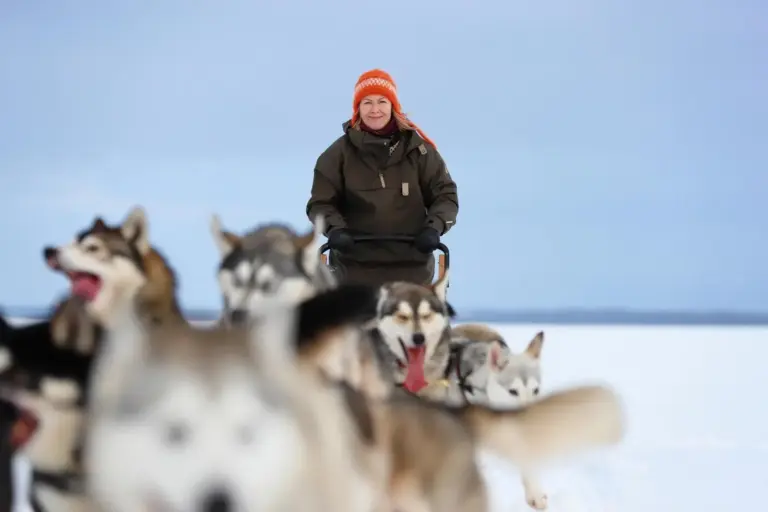 Besonders macht diese Winterwoche ihr Mix an Aktivitäten; u. a. sind Sie auch mit Huskys unterwegs.