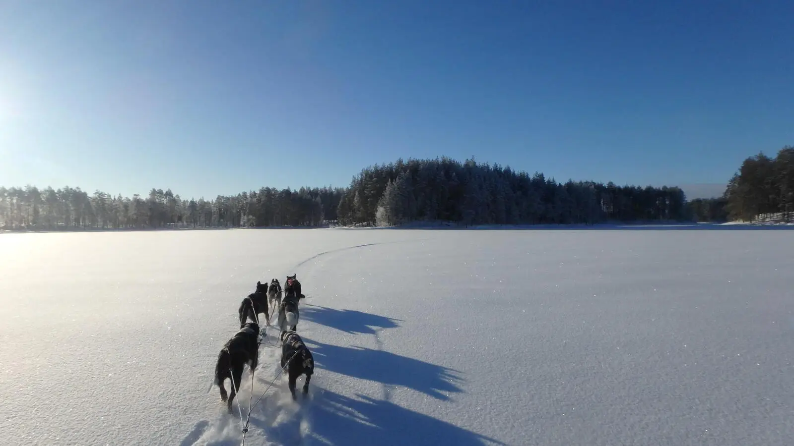 ...teils auf dem "Bärenpfad", über zugefrorene Seen und durch verschneite Wälder.
