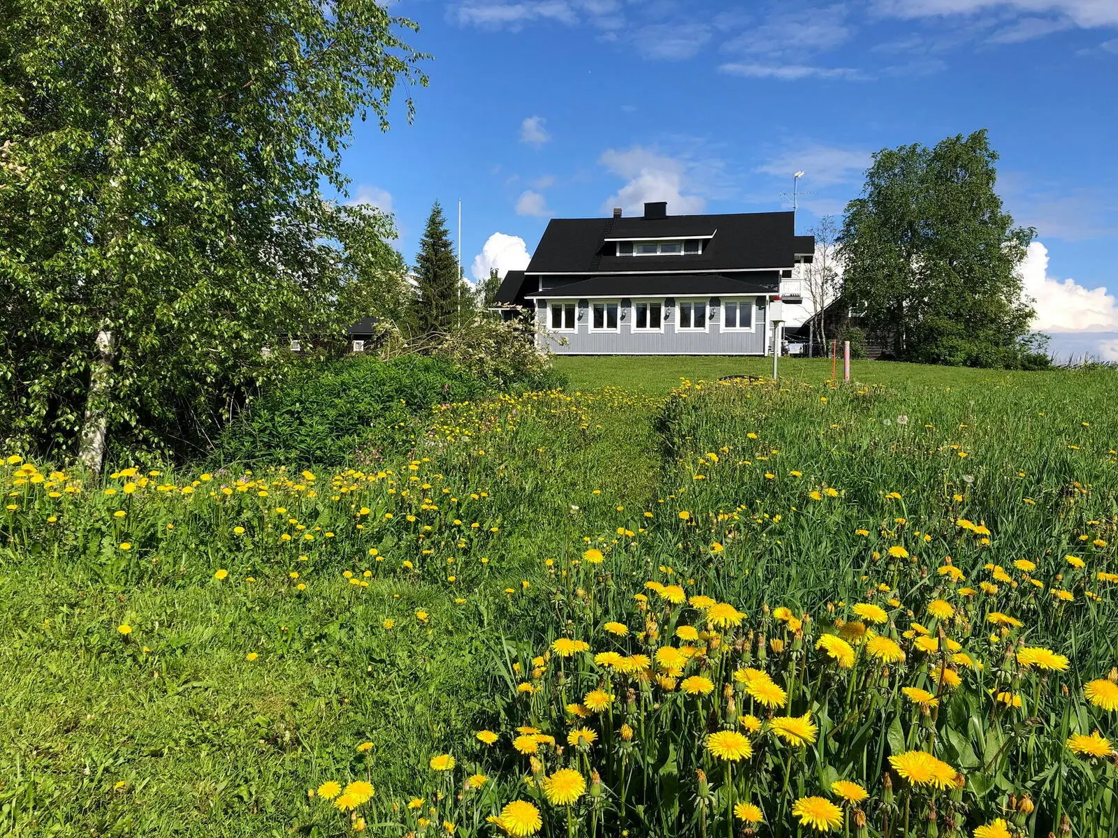 Vom zweiten Gasthaus, Laitalan Lomat, führt ein idyllischer Wiesenweg zur Flusssauna.