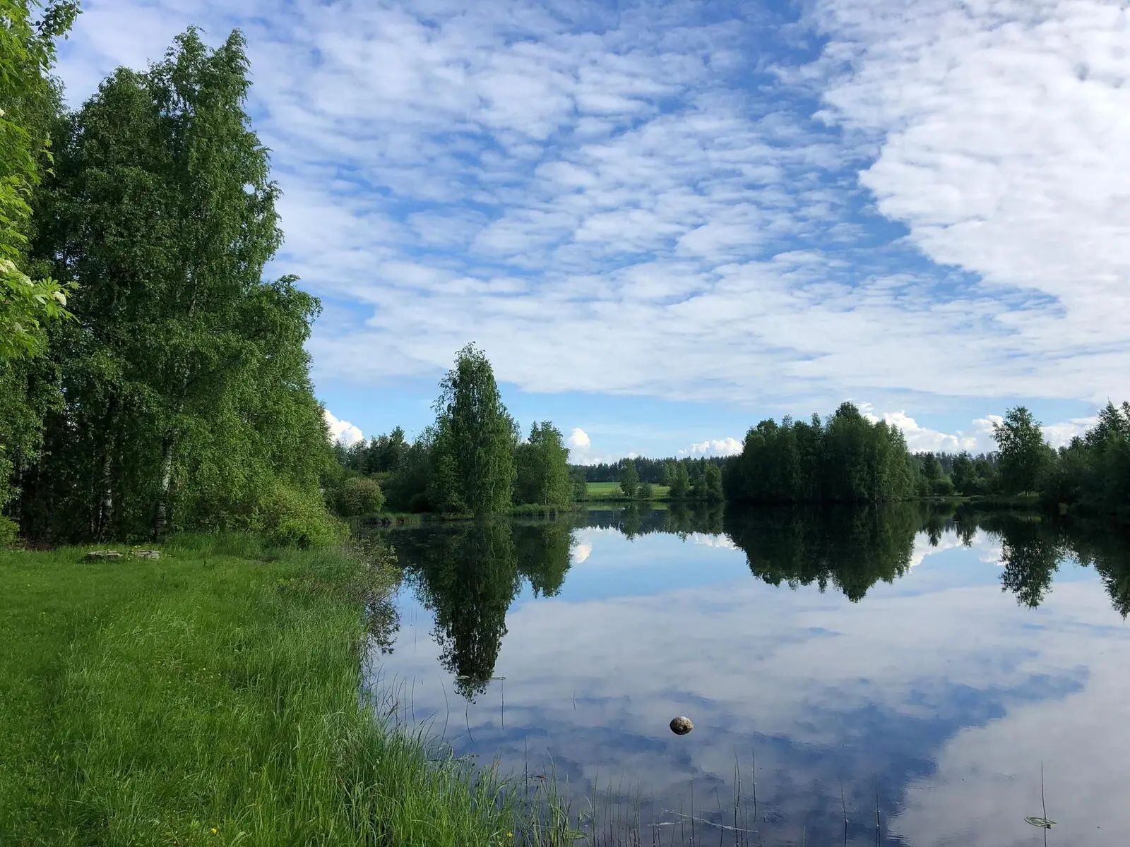 Von der Sauna aus lassen Sie Ihren Blick über das Ufer schweifen, ein friedlicher Ort zum Entspannen und Genießen.