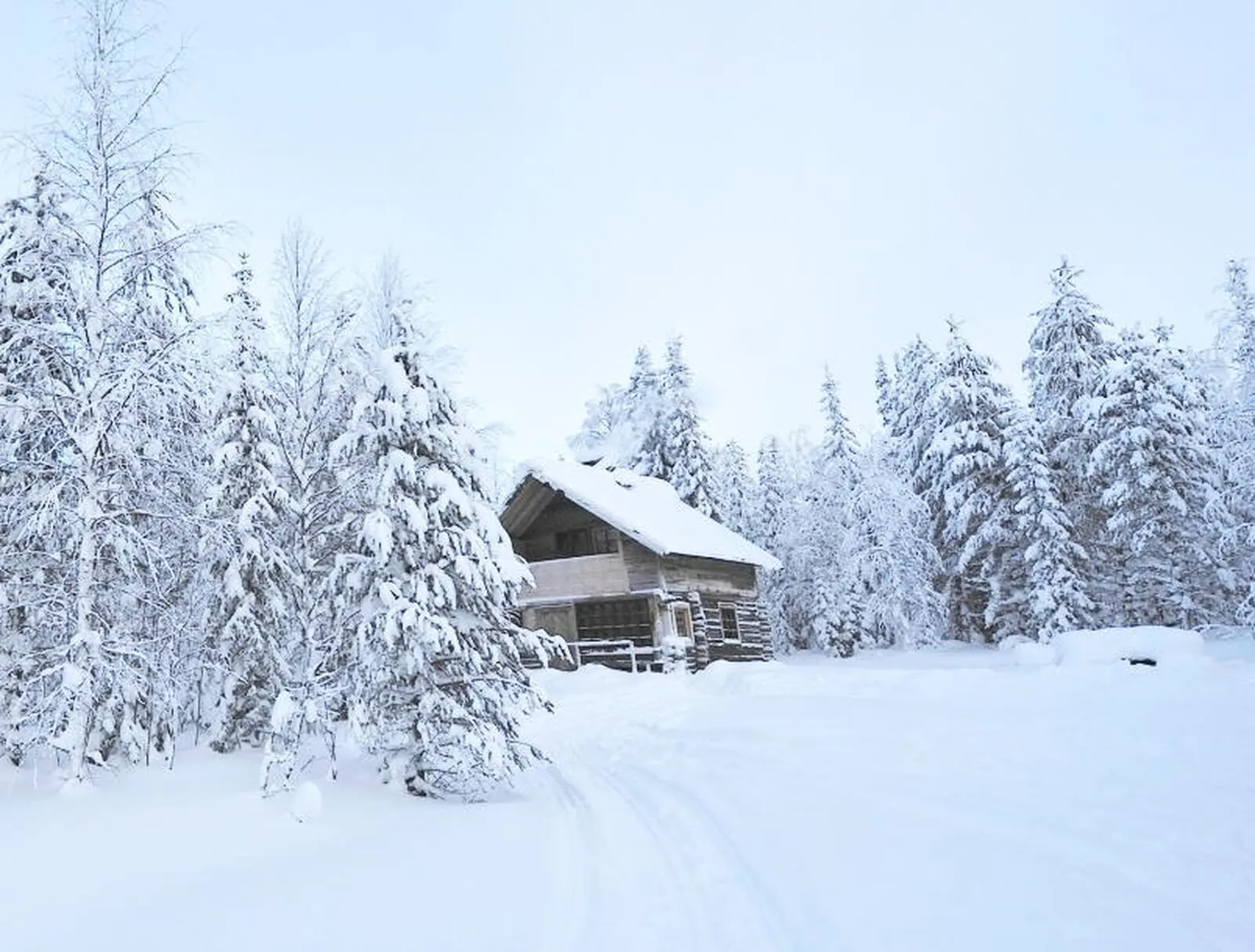 Höhepunkt der Tour wird die Übernachtung in einer Wildnishütte sein