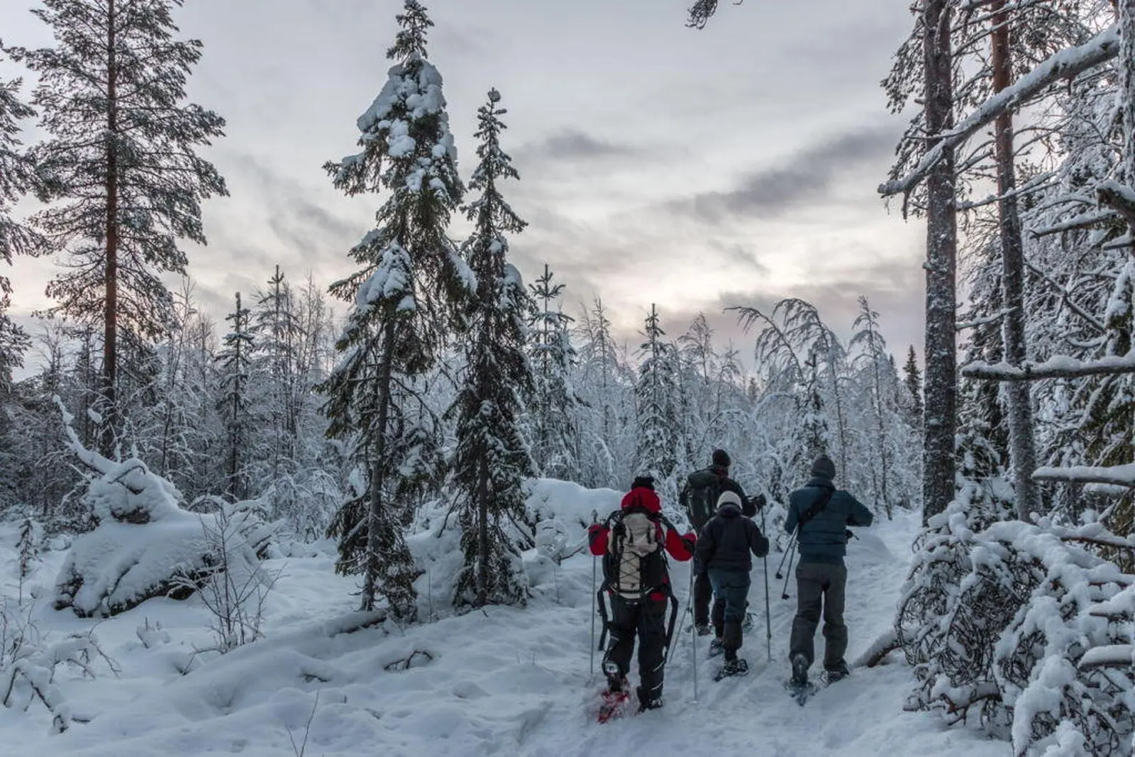 Am freien Tag können Sie auf eine Schneeschuhwanderung gehen