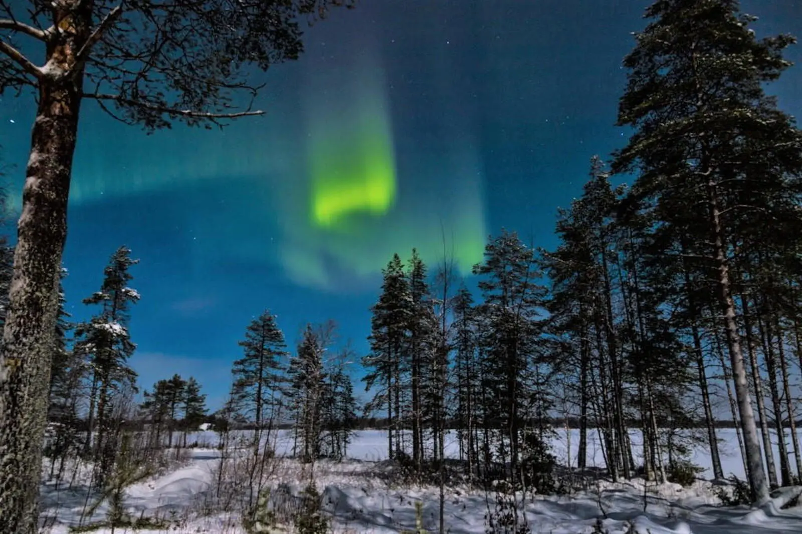 Auch Polarlichter zeigen sich über den Haussee 