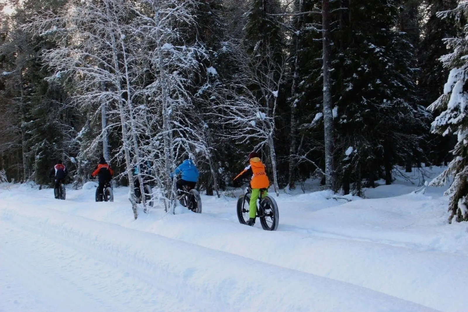 Ein neues Erlebnis: eine winterliche Radtour mit den Fatbikes