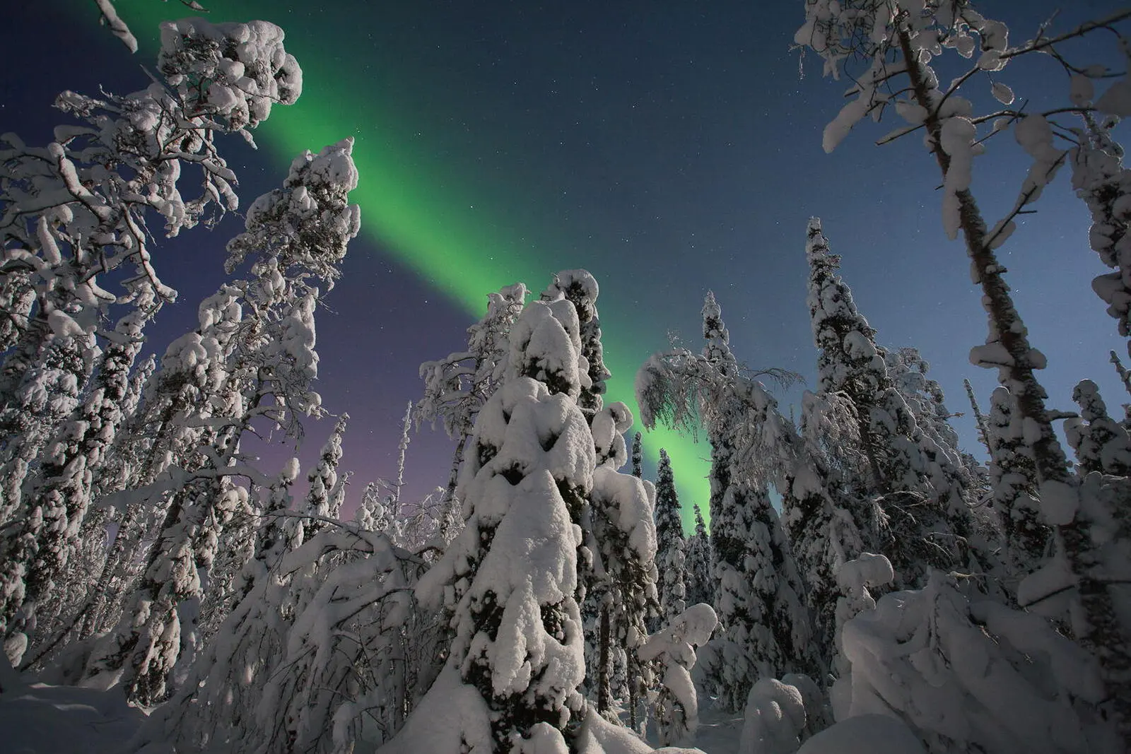 Mit etwas Glück können Sie auf dieser Reise Polarlichter bewundern.