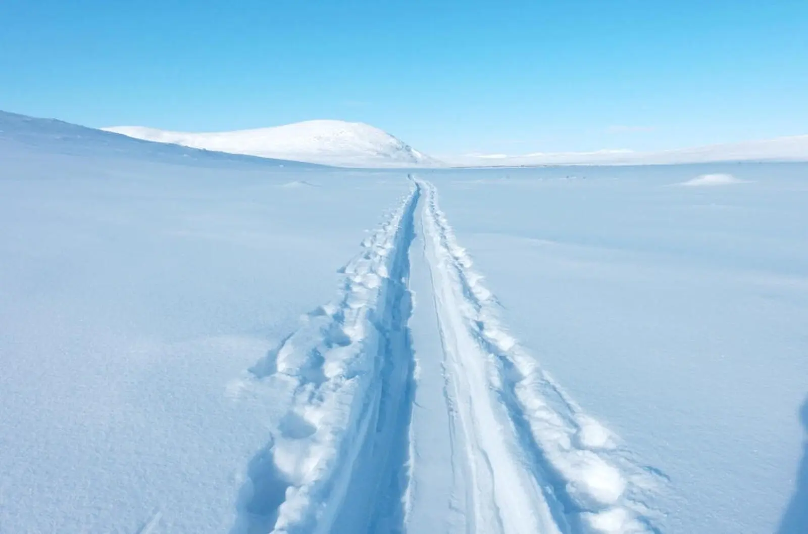 Ihre Spuren im Schnee ... viele andere Spuren werden Ihre hier oben nicht kreuzen