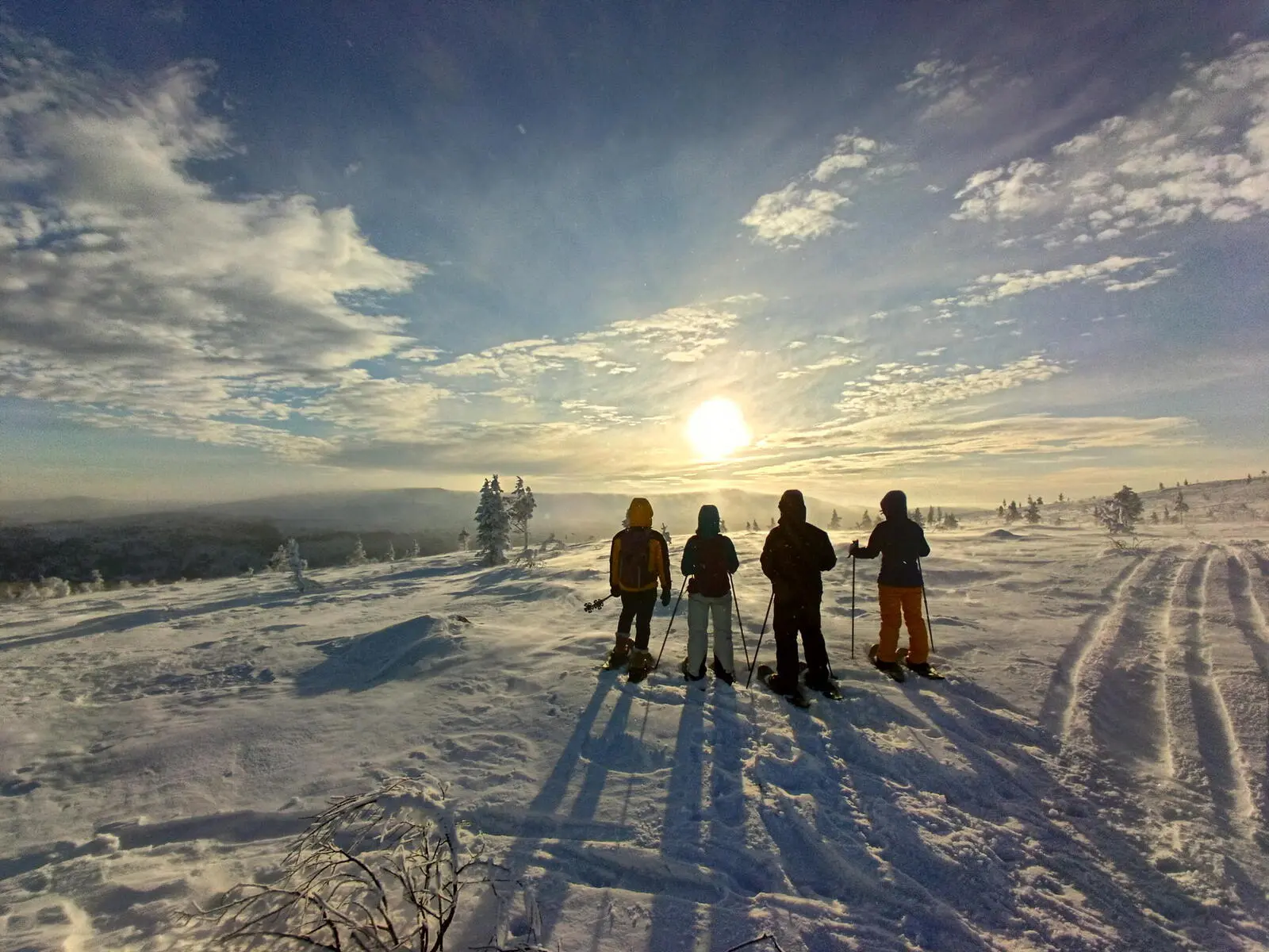 Sie unternehmen traumhafte Tagestouren wie hier auf den Morgam-Maras Fjäll